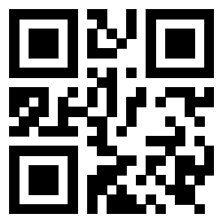 Il Qr Code di 3919917153