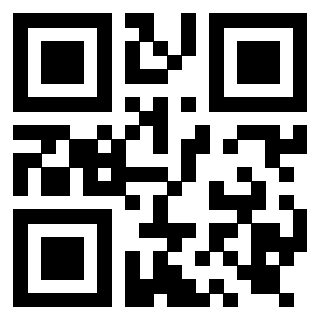Il Qr Code di 3919917163