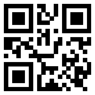 3919917166 QrCode associato