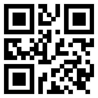 Il Qr Code di 3919917171