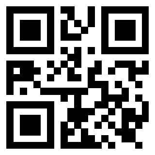 3919917184 QrCode associato