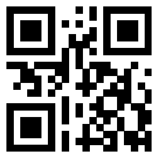 QrCode di 3919917207