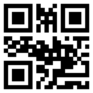 Il Qr Code di 3919917215