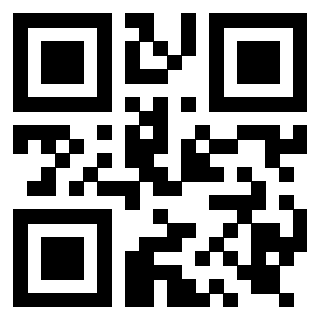 Il Qr Code di 3919917222