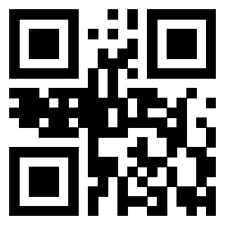 Il Qr Code di 3919917237