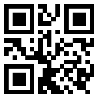 Il Qr Code di 3919917241