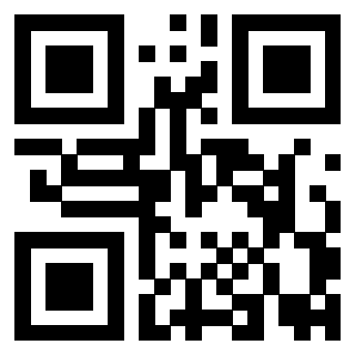 Il Qr Code di 3919917258