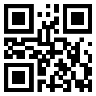 Il Qr Code di 3919917273