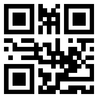 Il Qr Code di 3919917283