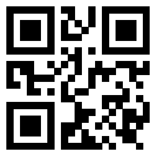 Il Qr Code di 3919917286