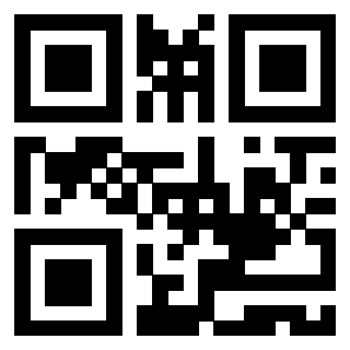 Il Qr Code di 3919917297