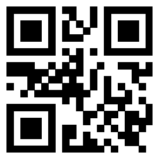 Il QrCode di 3919917301
