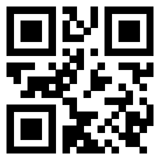 Il QrCode di 3919917312