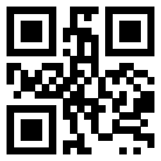 Il Qr Code di 3919917333