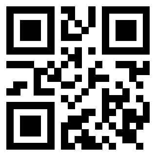 Il Qr Code di 3919917347