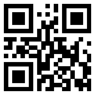 Il Qr Code di 3919917355