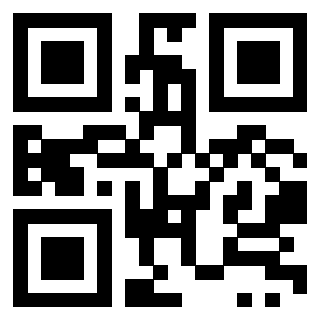 Il Qr Code di 3919917369