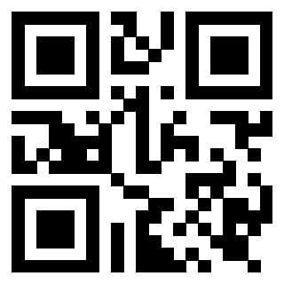 3919917376 QrCode associato