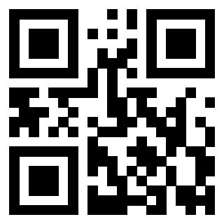 Il Qr Code di 3919917383