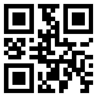 Il Qr Code di 3919917412