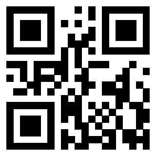 Il Qr Code di 3919917428