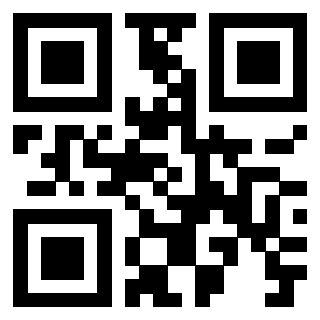 Il Qr Code di 3919917461