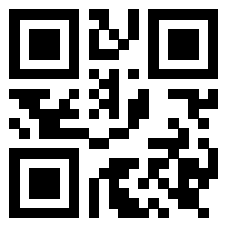 Il Qr Code di 3919917463