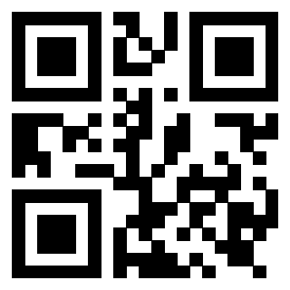Il Qr Code di 3919917479