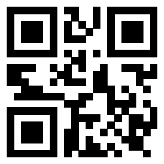 Il Qr Code di 3919917496