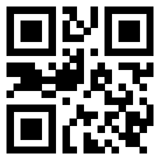 Il Qr Code di 3919917503