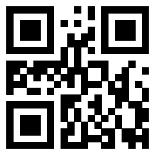 Il Qr Code di 3919917506
