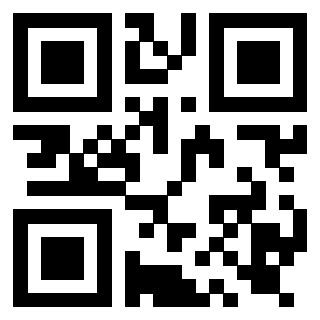Il Qr Code di 3919917516