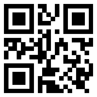 Il Qr Code di 3919917522