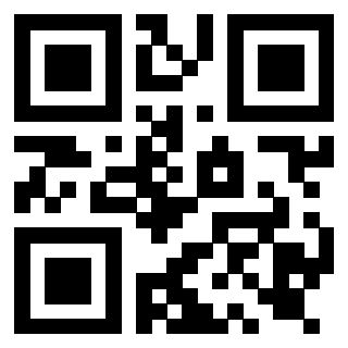 Il Qr Code di 3919917539