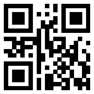 3919917571 - Immagine del QrCode associato