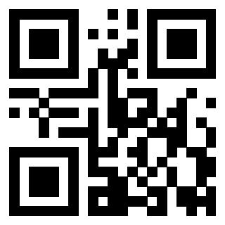 QrCode di 3919917576