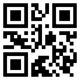 Il Qr Code di 3919917587
