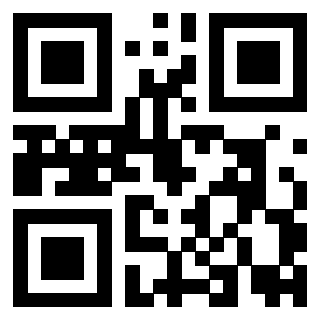 Il Qr Code di 3919917646