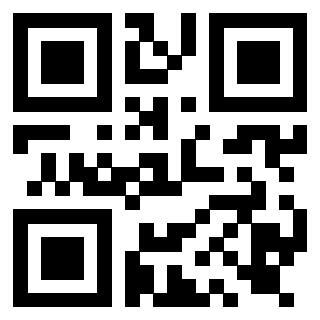 Il Qr Code di 3919917660