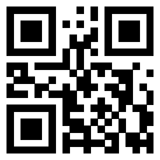 Il Qr Code di 3919917692