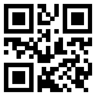 Il Qr Code di 3919917714