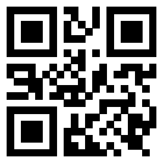 Il Qr Code di 3919917738