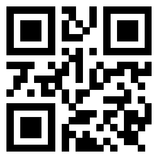 Il Qr Code di 3919917753