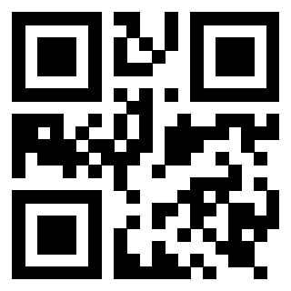 Il Qr Code di 3919917805
