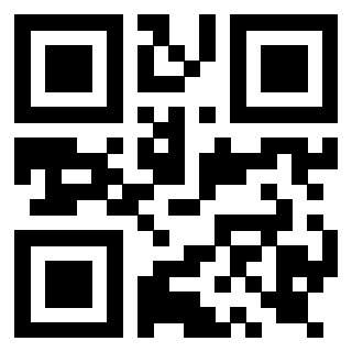 Il Qr Code di 3919917829