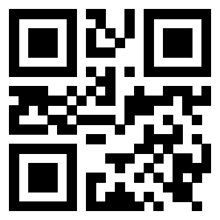 Il Qr Code di 3919917834