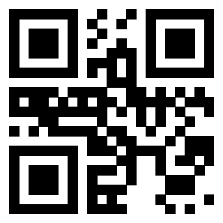 Il Qr Code di 3919917836